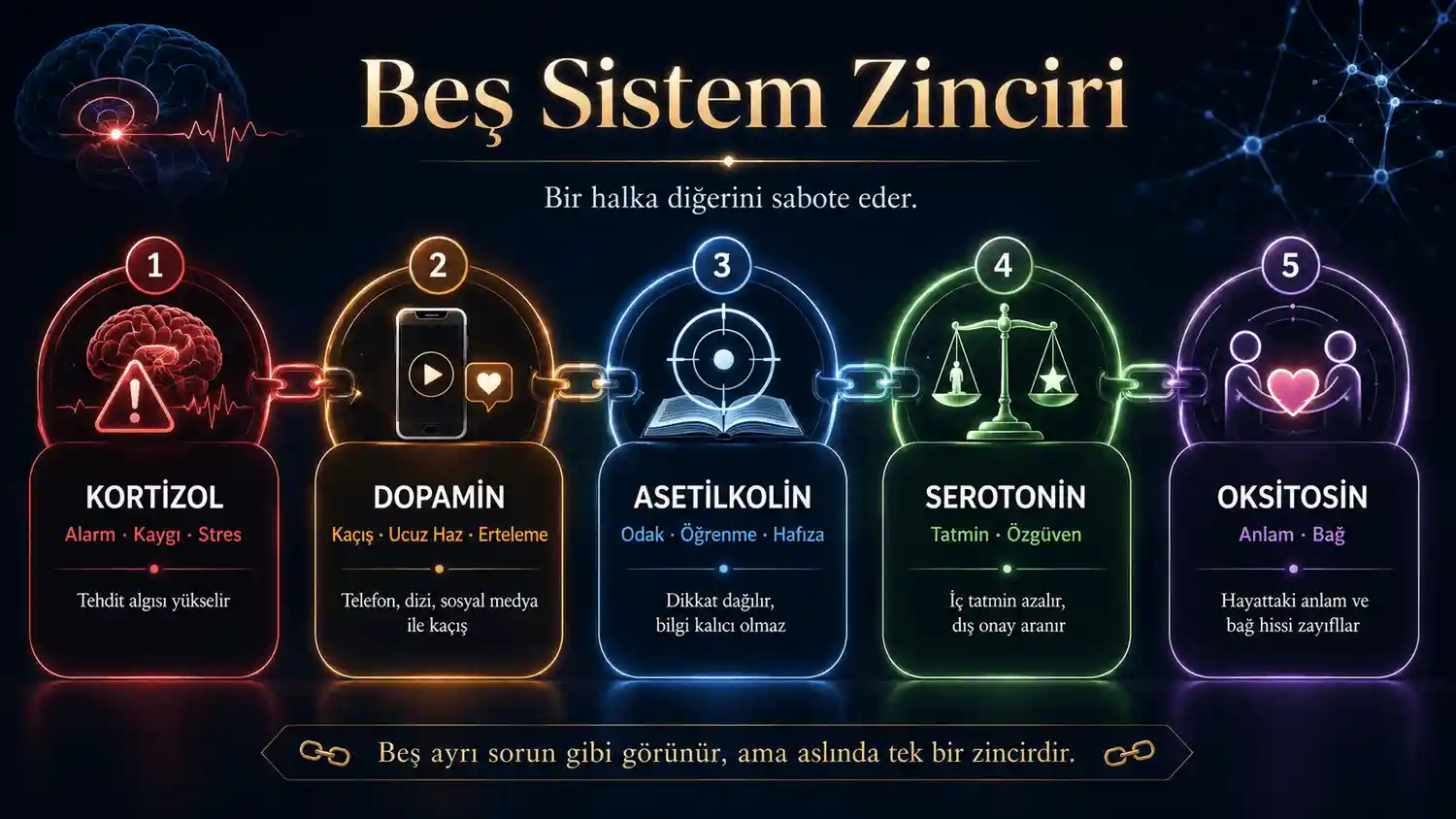 ZYY Beş Sistem Zinciri